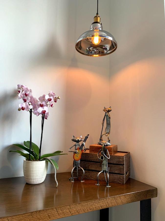 Blue Horse Apartment In New Polanco. Cidade do México Exterior foto